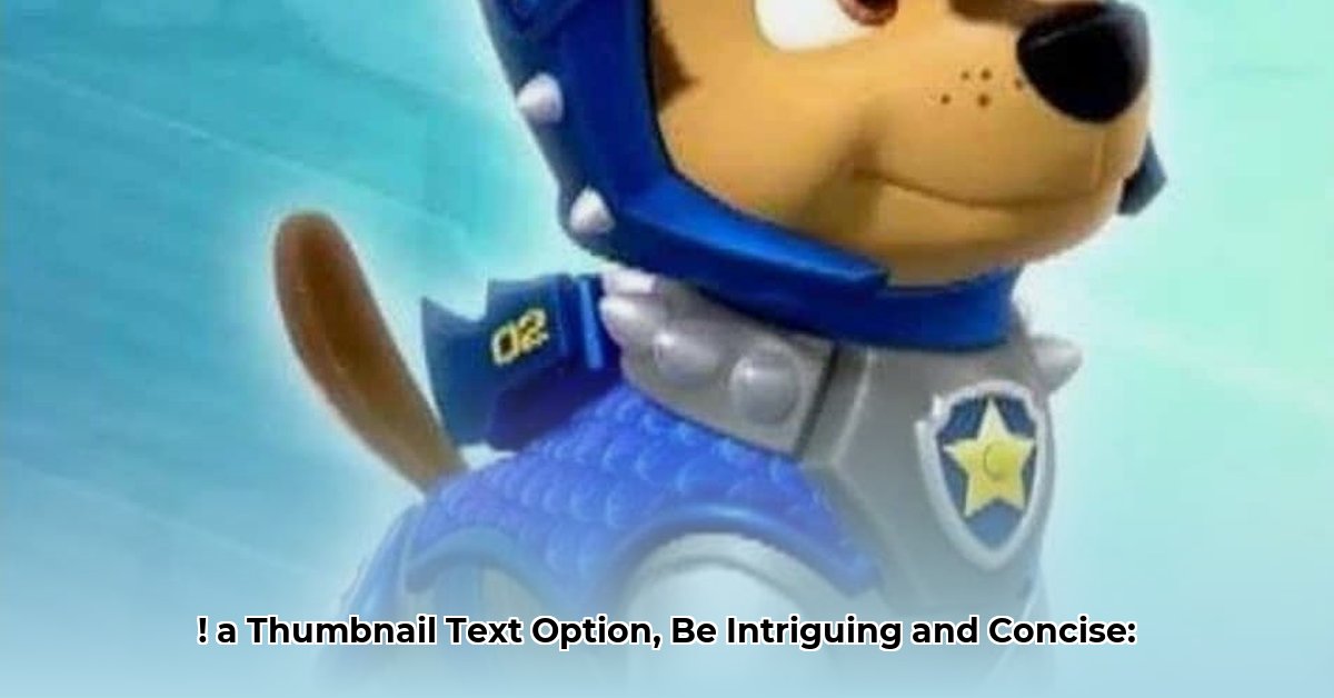 chase-lybbert-net-worth